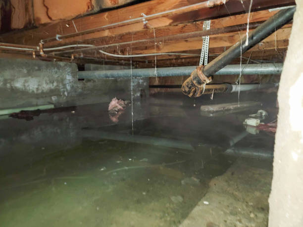  Auburn, GA Water damage restoration Pros