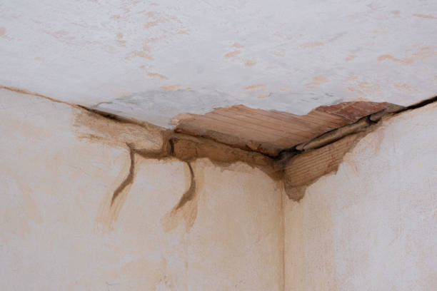 Best Residential water damage restoration  in Auburn, GA