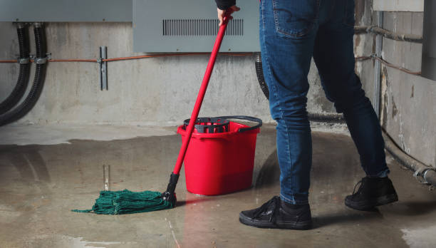 Best Professional water damage repair  in Auburn, GA